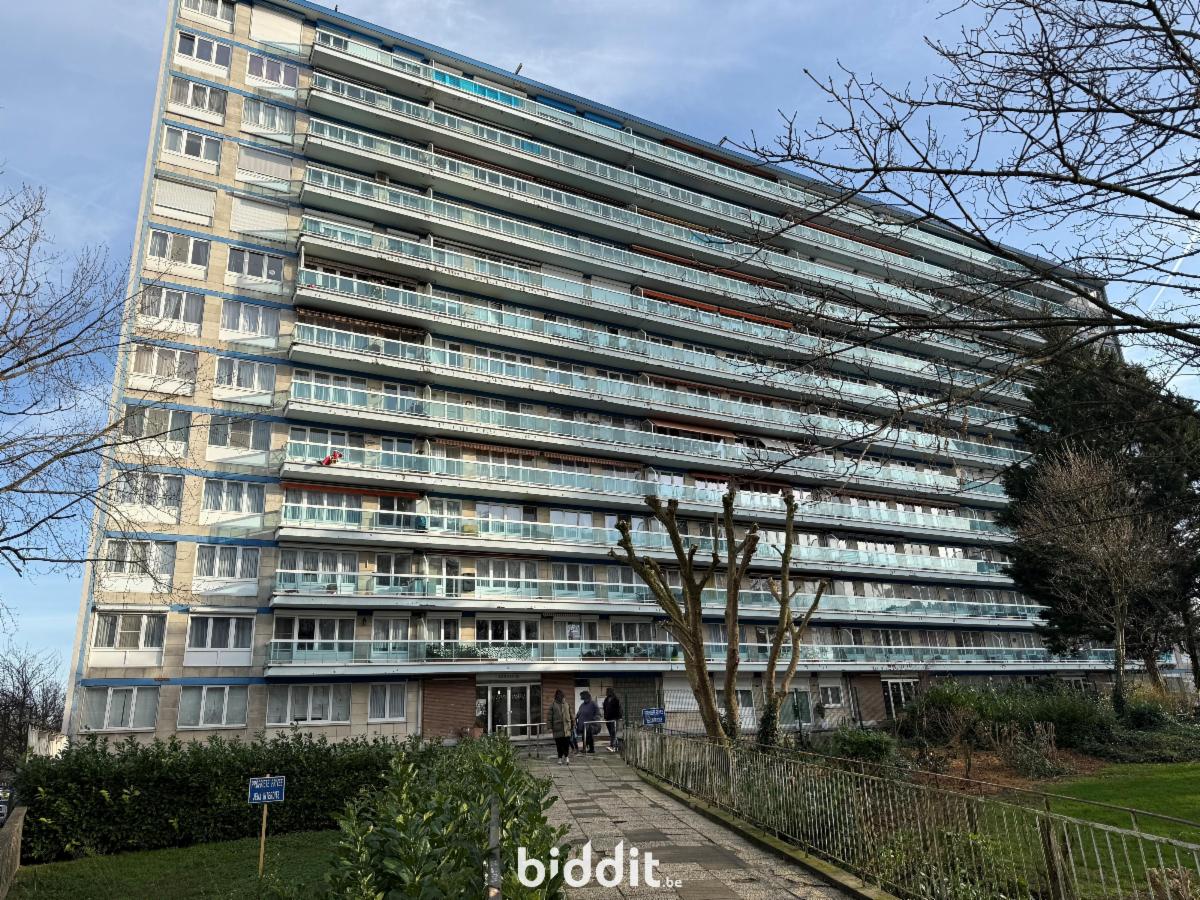 Presentatiebeeld van het pand n° 295052