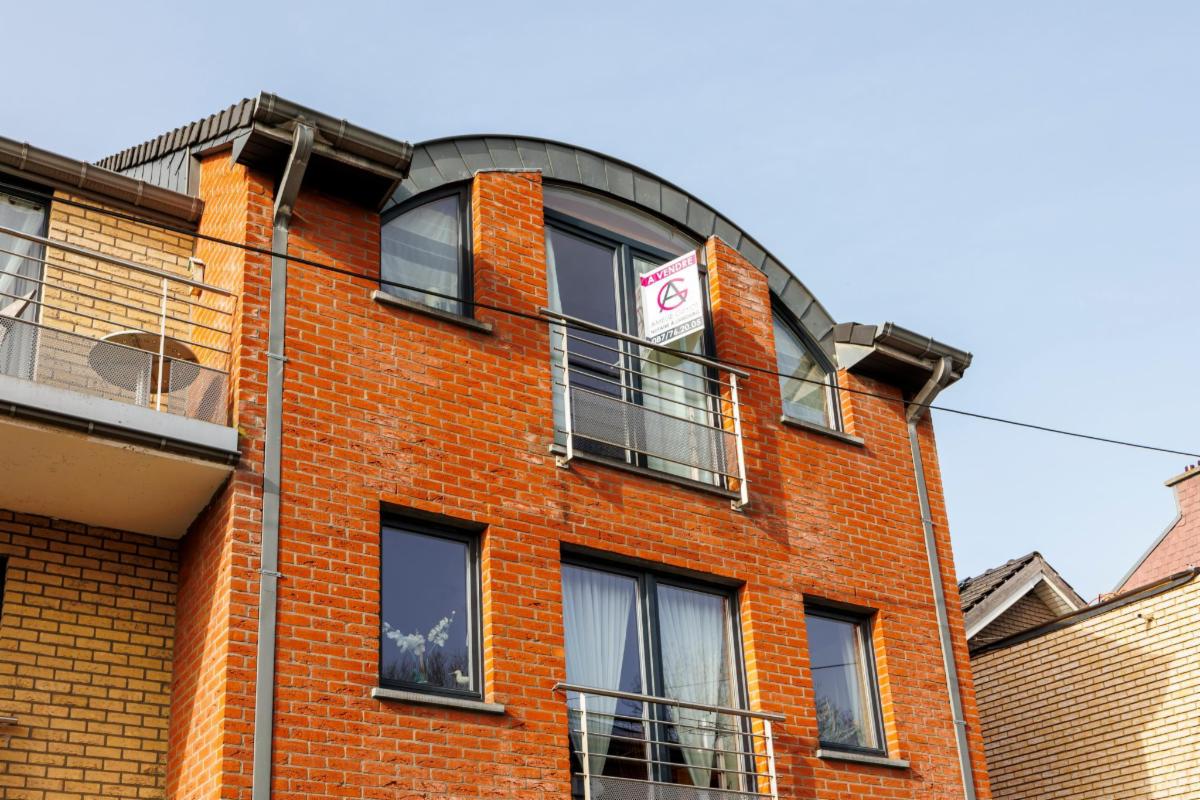 Presentatiebeeld van het pand n° 294260