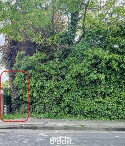 Eerste alternatieve foto van het pand