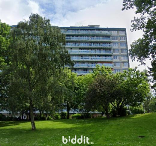 Presentatiebeeld van het pand n° 295411