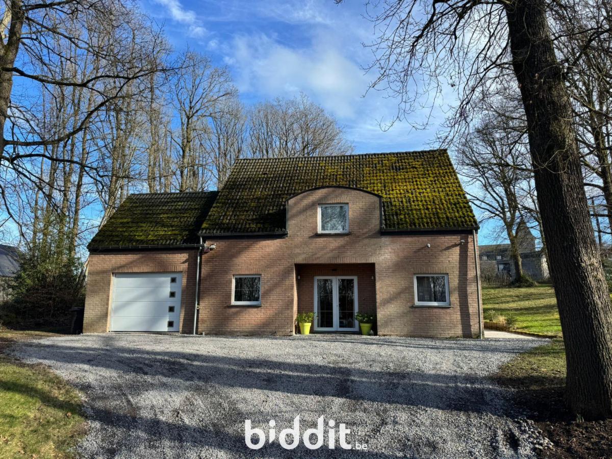 Presentatiebeeld van het pand n° 294401