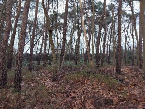 Eerste alternatieve foto van het pand