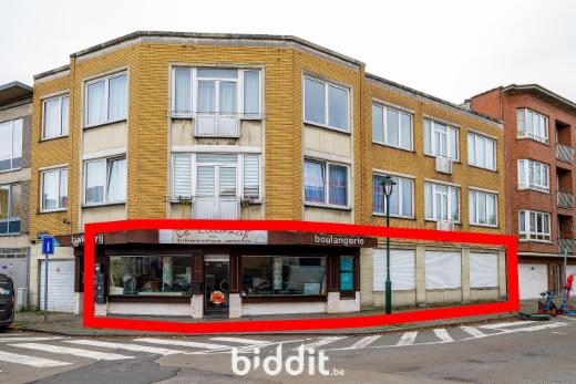 Presentatiebeeld van het pand n° 292722