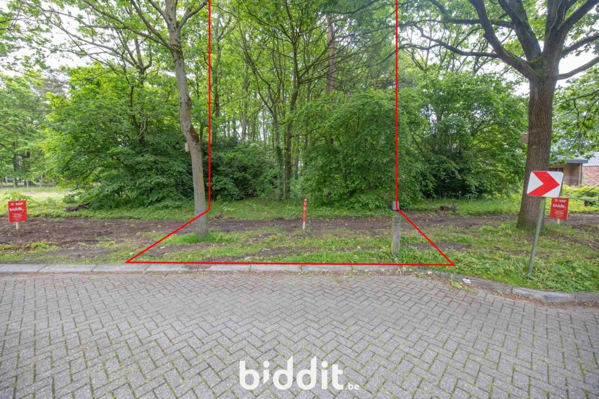 Presentatiebeeld van het pand n° 296497