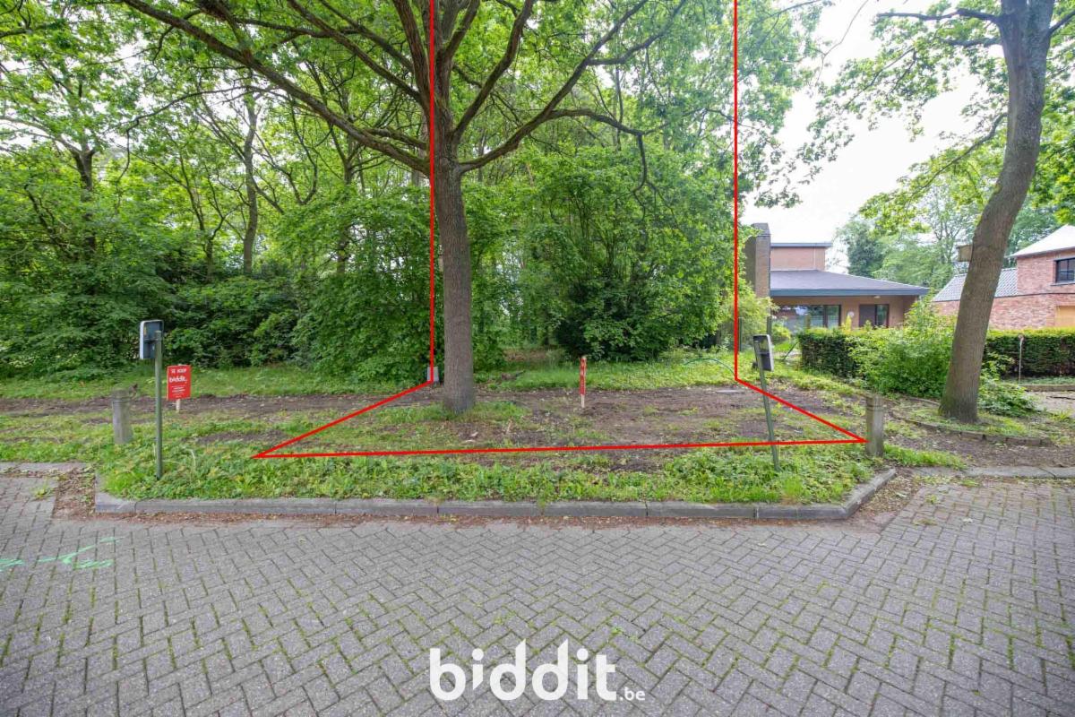Presentatiebeeld van het pand n° 296501