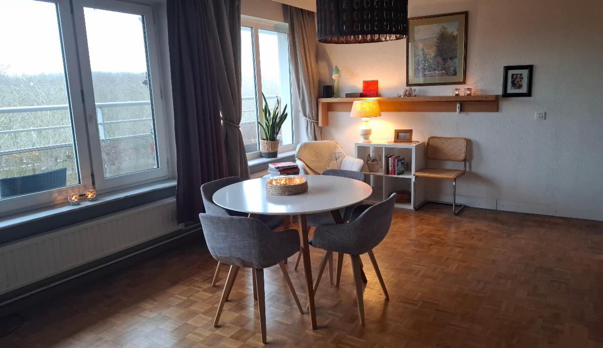 Presentatiebeeld van het pand n° 292213