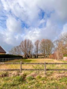 Derde alternatieve foto van het pand