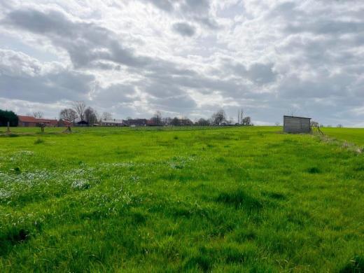 Presentatiebeeld van het pand n° 294178