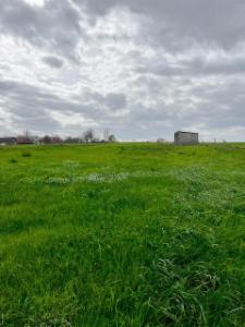 Eerste alternatieve foto van het pand