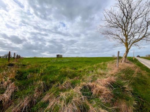 Tweede alternatieve foto van het pand