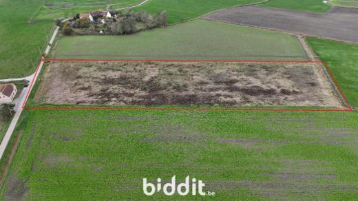 Presentatiebeeld van het pand n° 289916