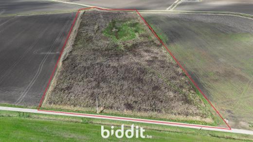 Presentatiebeeld van het pand n° 289917