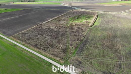 Tweede alternatieve foto van het pand