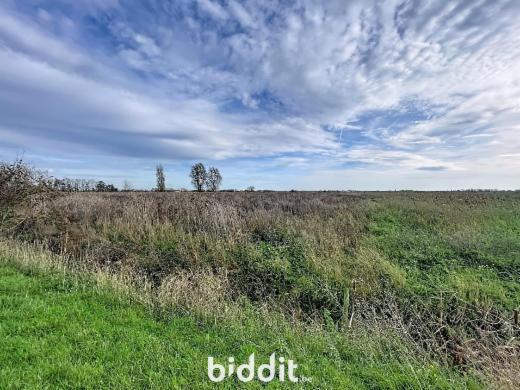 Derde alternatieve foto van het pand