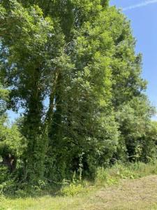 Derde alternatieve foto van het pand