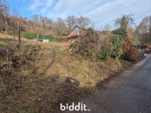 Tweede alternatieve foto van het pand