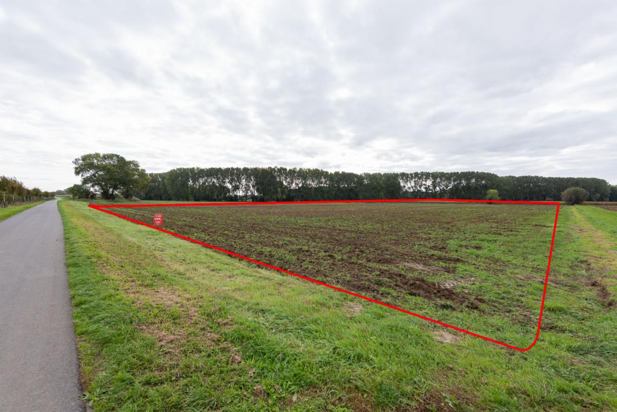 Presentatiebeeld van het pand n° 302643