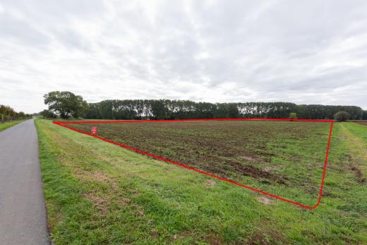 Presentatiebeeld van het pand n° 302643