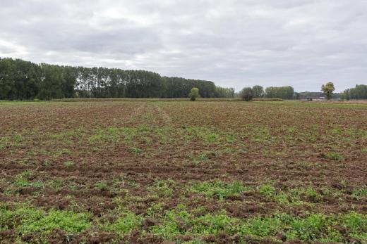 Derde alternatieve foto van het pand