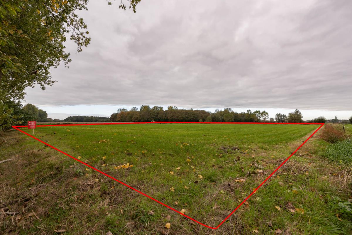 Presentatiebeeld van het pand n° 302644