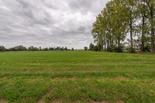 Derde alternatieve foto van het pand