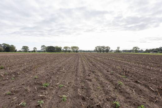 Tweede alternatieve foto van het pand