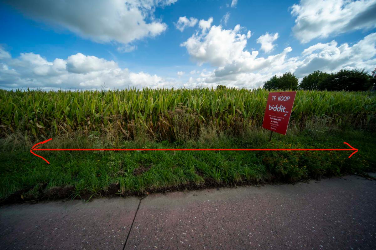Presentatiebeeld van het pand n° 301185