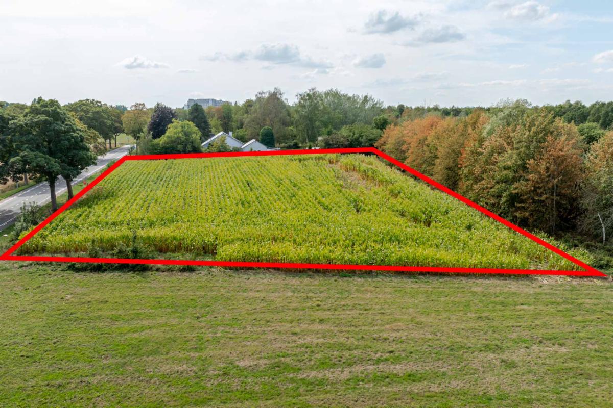 Presentatiebeeld van het pand n° 303536