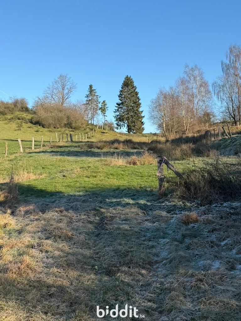 Presentatiebeeld van het pand n° 291377