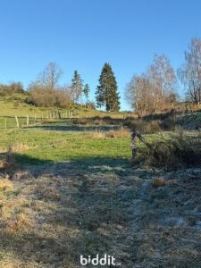 Presentatiebeeld van het pand n° 291377