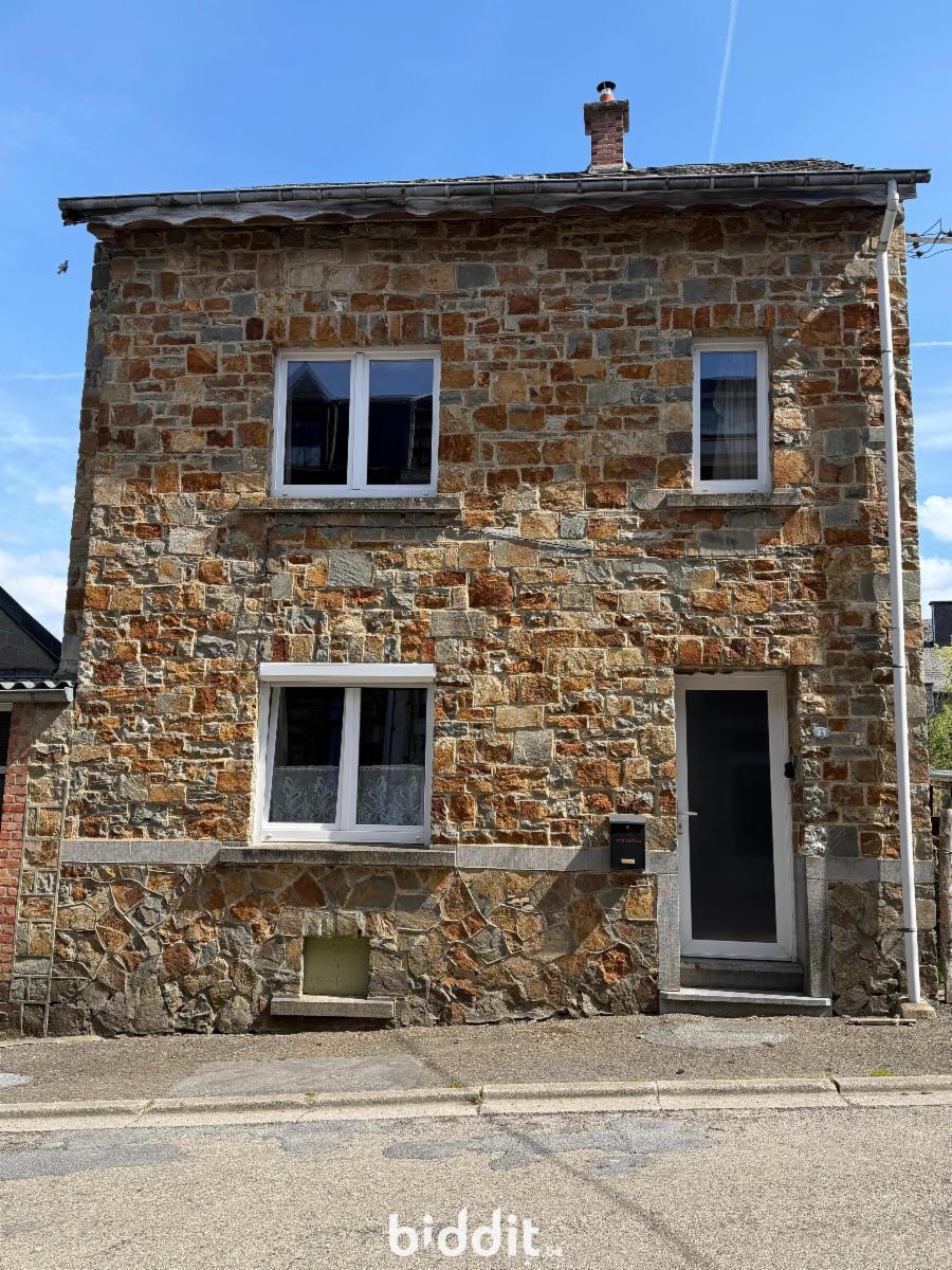 Presentatiebeeld van het pand n° 295677