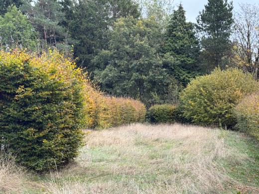 Tweede alternatieve foto van het pand