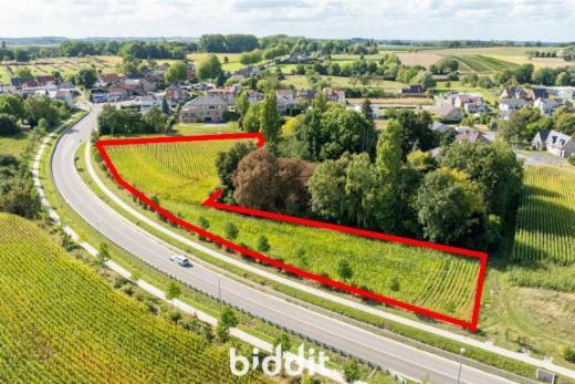 Presentatiebeeld van het pand n° 287013