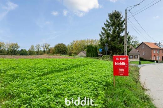 Eerste alternatieve foto van het pand