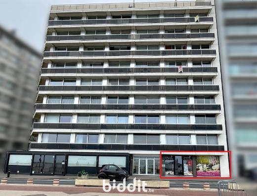 Presentatiebeeld van het pand n° 283407