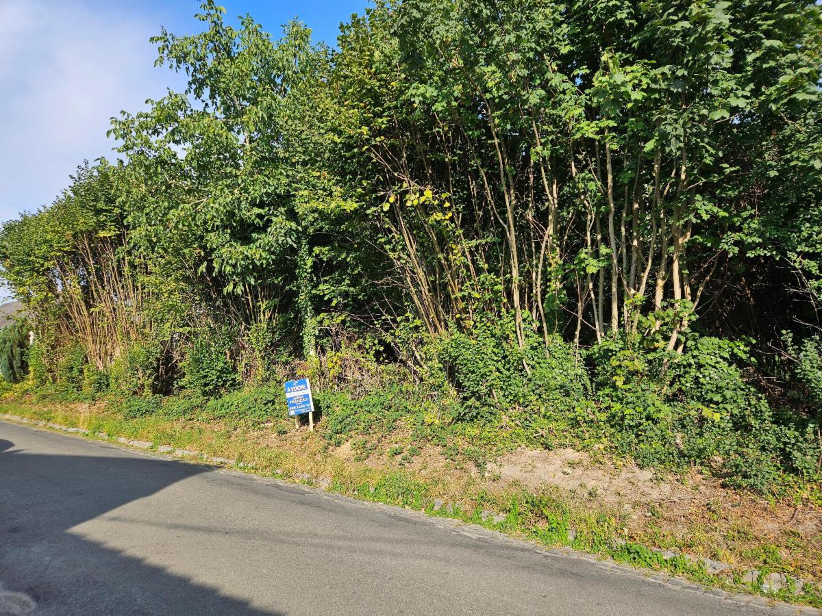 Presentatiebeeld van het pand n° 285666