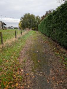 Derde alternatieve foto van het pand