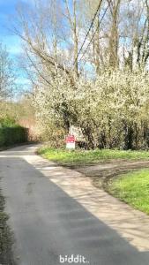 Tweede alternatieve foto van het pand