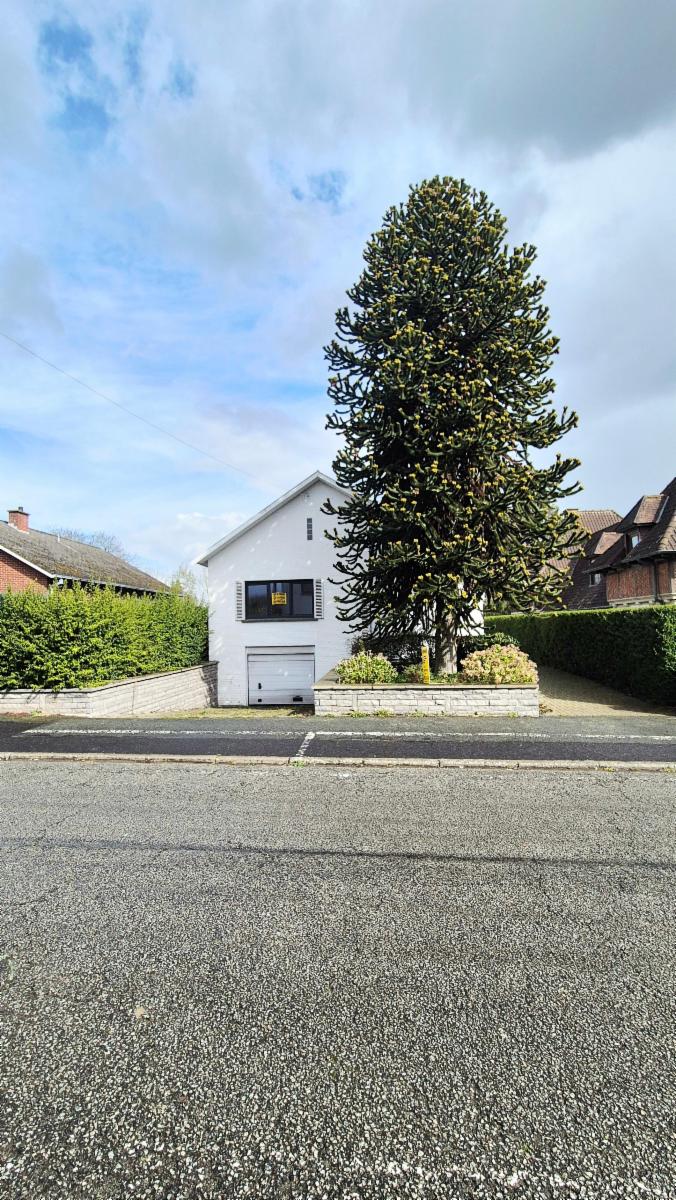 Presentatiebeeld van het pand n° 294793