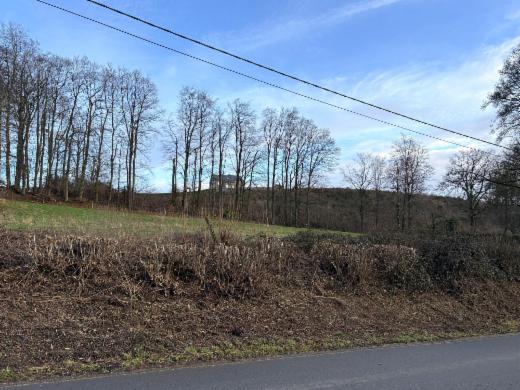 Eerste alternatieve foto van het pand