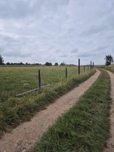 Eerste alternatieve foto van het pand