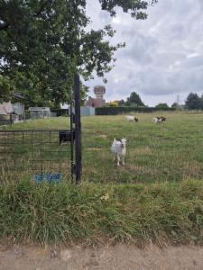 Tweede alternatieve foto van het pand