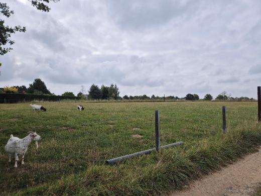 Derde alternatieve foto van het pand