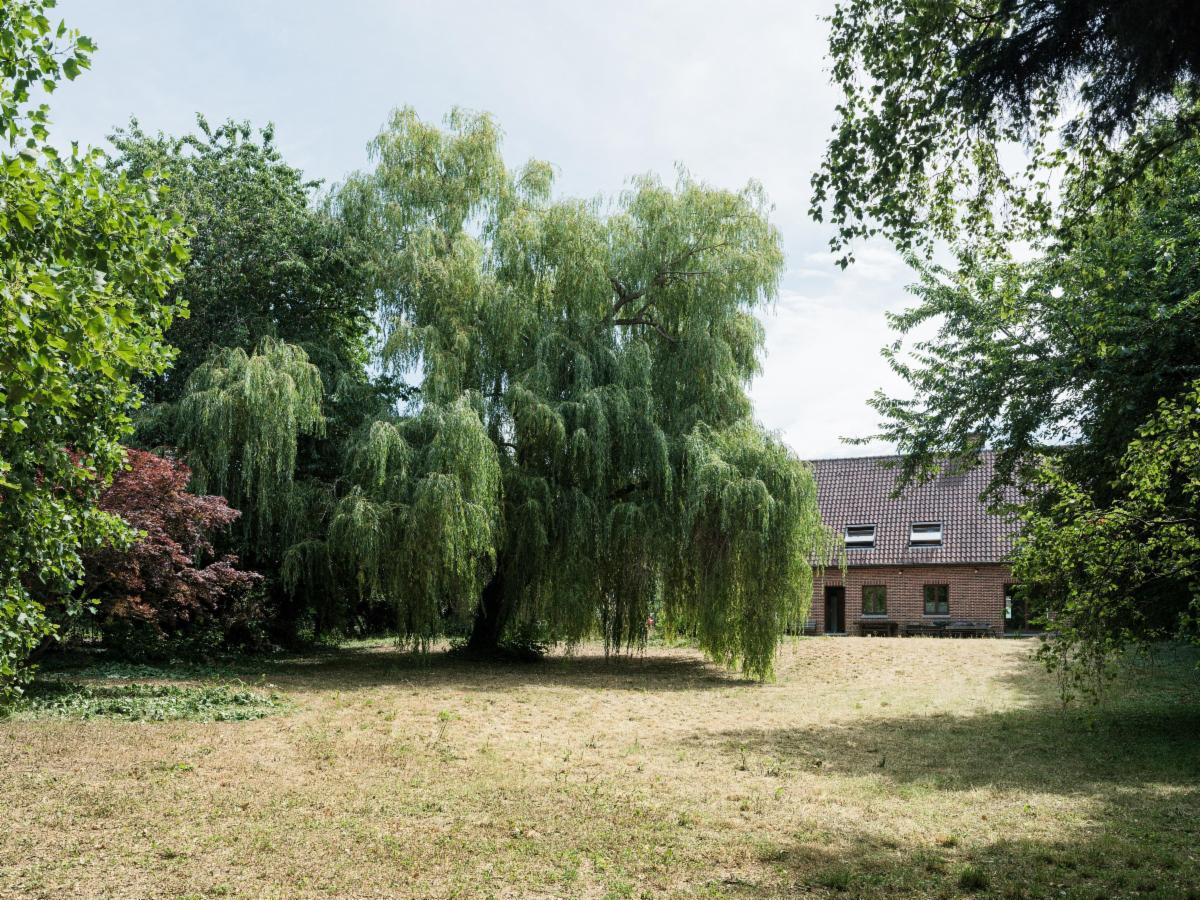 Presentatiebeeld van het pand n° 291682