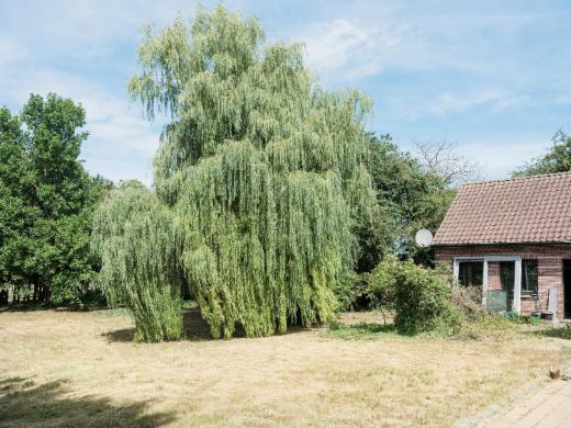 Derde alternatieve foto van het pand