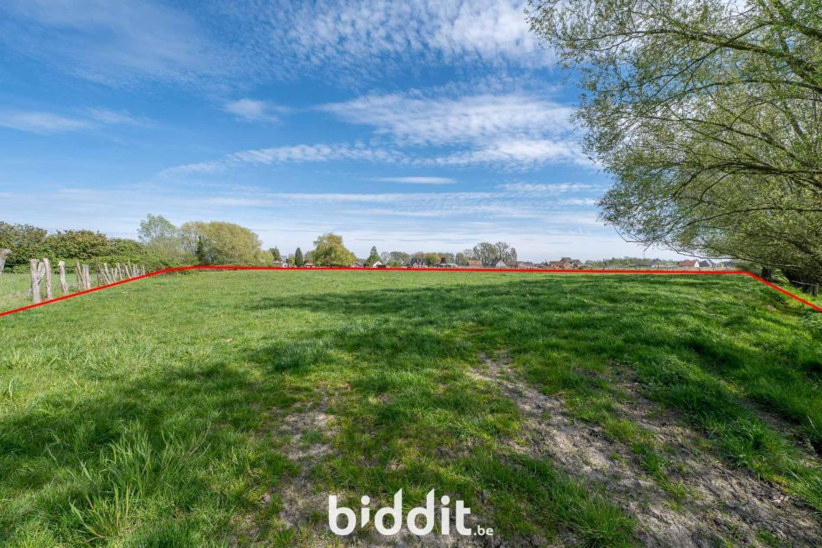 Presentatiebeeld van het pand n° 295118