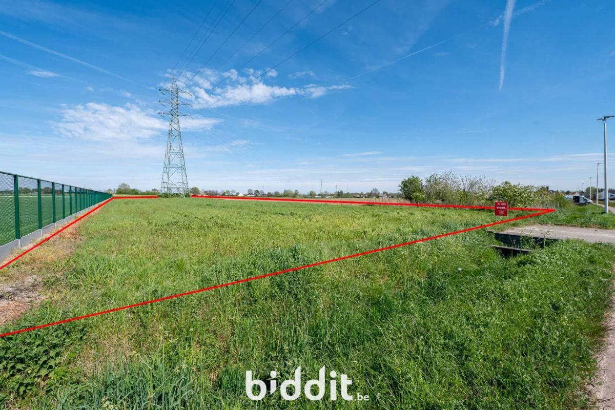Presentatiebeeld van het pand n° 295121