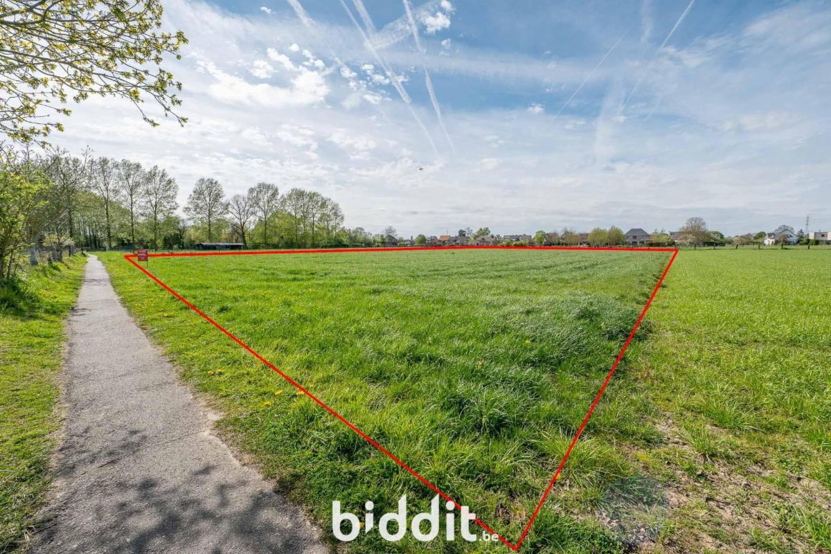 Presentatiebeeld van het pand n° 295122