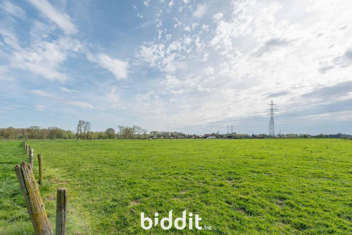 Presentatiebeeld van het pand n° 295123