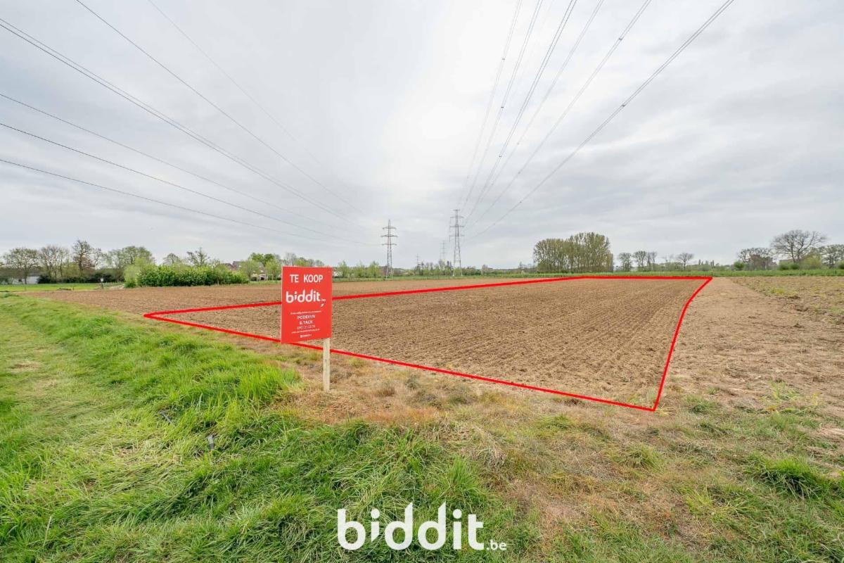 Presentatiebeeld van het pand n° 295124